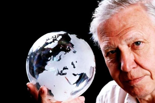 David Attenborough oslavila 100 rokov Toto je jeho sposob ako zit dlho a zdravo