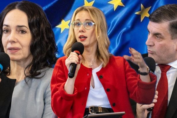 Odmietaju kryt Fica no nechcu trestat Slovakov Co urobia slovenski europoslanci pri klucovom hlasovani