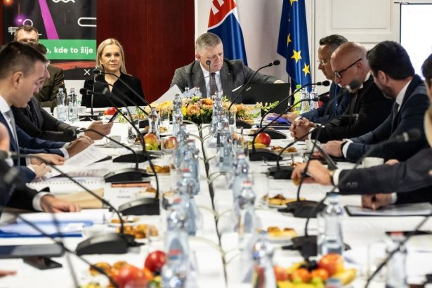 Premier Fico si v case setrenia zaplatil reklamu na svoju vladu Objavi sa v niekolkych medich