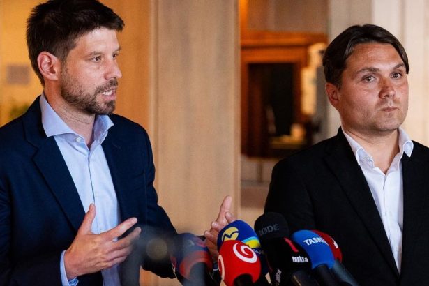 Progresivne Slovensko vytvara zachrancu demokracie z cloveka ktory vyrastal v Orbanovom systeme nazor Zsolta Simona