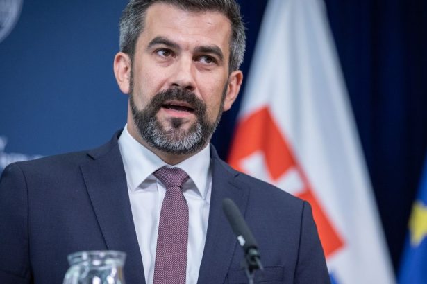 Slovenske domacnosti su preplnene PS vie ako to vyriesit a nezatazit rozpocet nazor Jana Hargasap