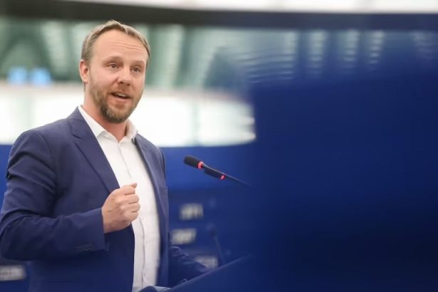 zobrazenie hlasovacich prav slovensku zatial nehrozi unia ma na stole ovela ucinnejksiu zbran tvrdi nemecky europoslanec