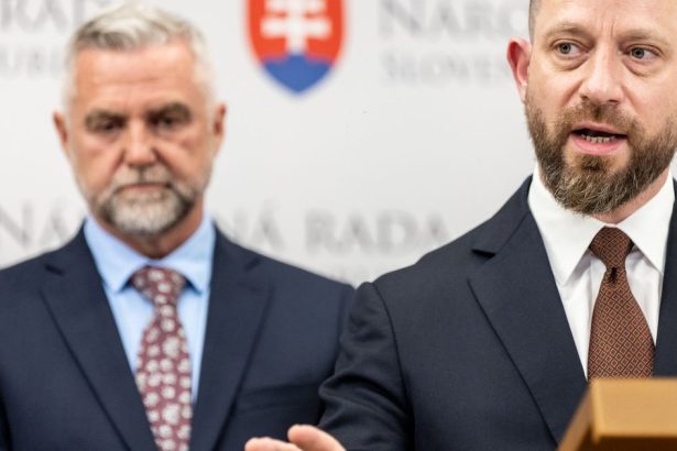 Premier Fico Ak odvolate Tibora Gaspara odvolame Dubecinho z PS