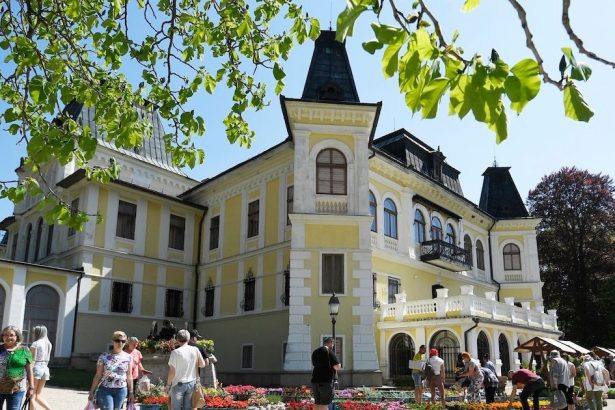 Slovenske narodne muzeum hlada riaditela Betliara docasne ho vedie Andrea Predajnova