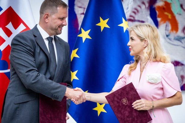 Gejovia maju smolu Aj ked je nedostatok krvi nemozu ju darovat Stat sa zaujima len o tych ktori prejdu dotaznikom video