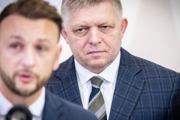 Jedna velka loz ministra Sutaja Estoka komentar Petra Bardyho