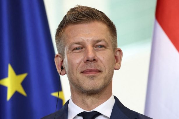 Vymeni Madarsko jedneho autokrata za druheho Skutocny test Petera Magyara este len pride