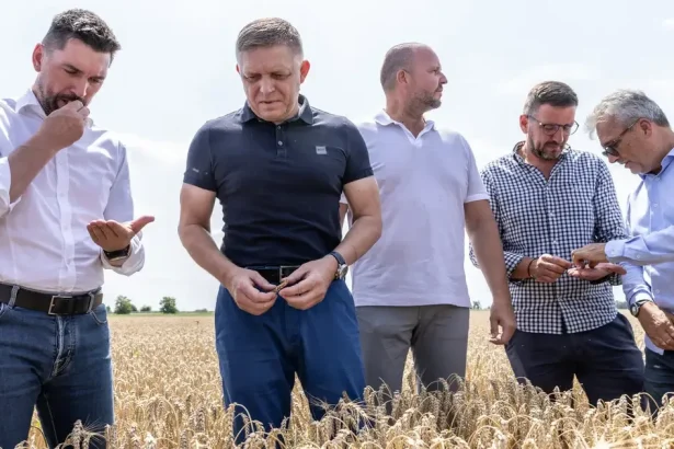 Slovensku hrozí strata 135-tisíc zvierat, ceny rastú