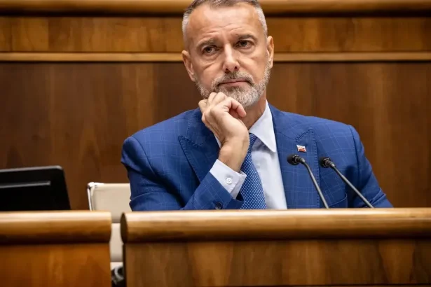 Šimečka a Gröhling vyprovokovali Rašiho rečami o dovolenke, budú sedieť v parlamente